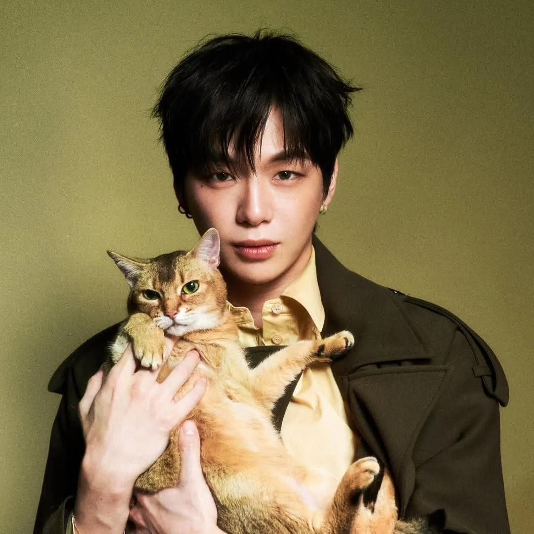 A moment captured by Kang Daniel's fan