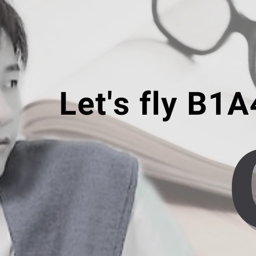 シヌ (B1A4)ファンが撮った瞬間