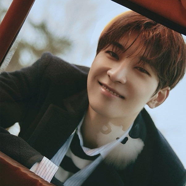 Recent activity shot of Wonwoo (SEVENTEEN)