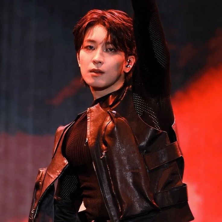 Recent activity shot of Wonwoo (SEVENTEEN)