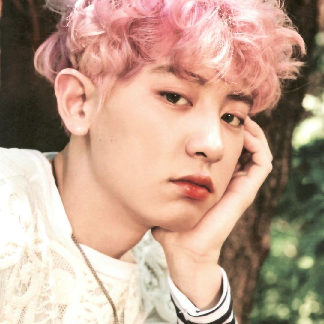 燦烈 (EXO)的最新活動照片