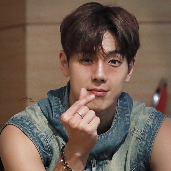 셔누 (몬스타엑스) 팬이 찍은 순간