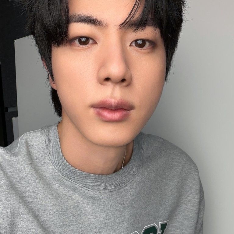 A moment captured by Jin (BTS)'s fan