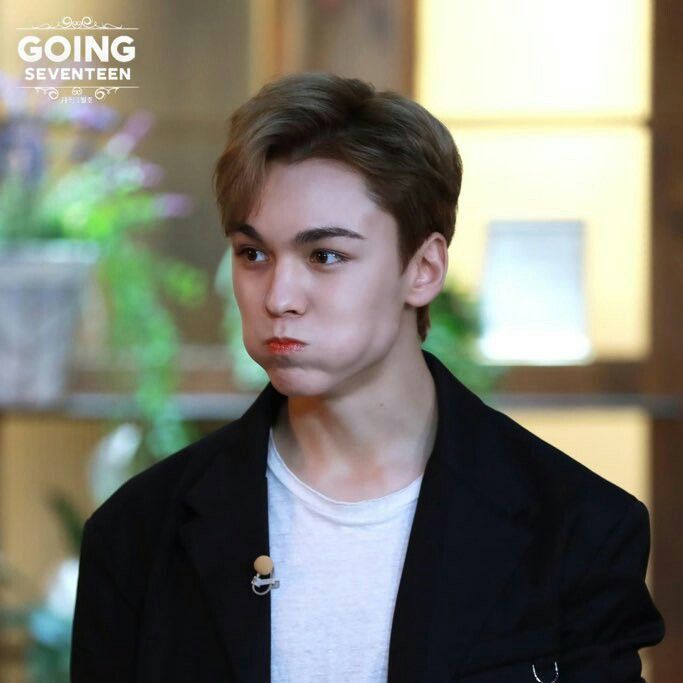 A moment captured by Vernon (SEVENTEEN)'s fan