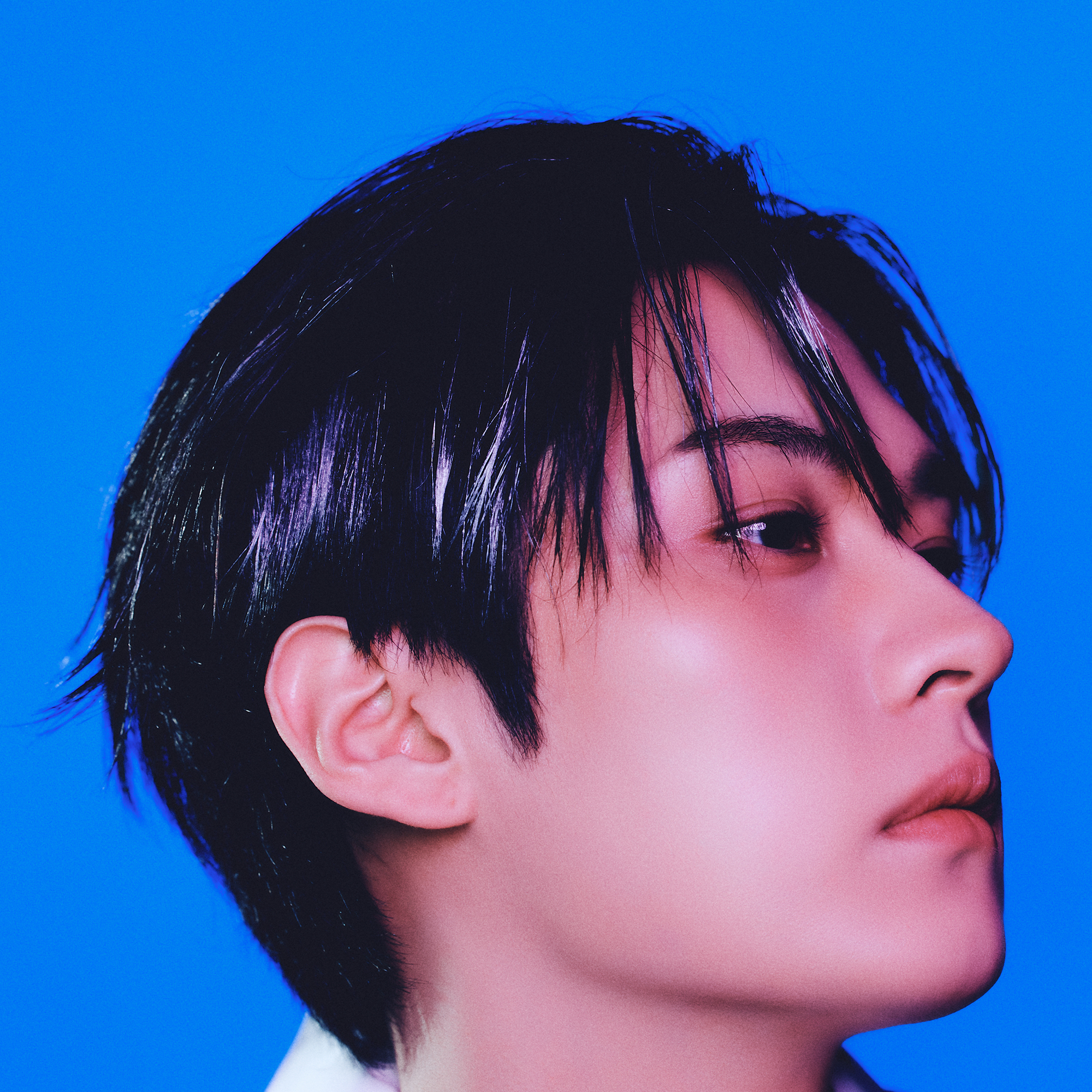Stray Kidsの最近の活動写真