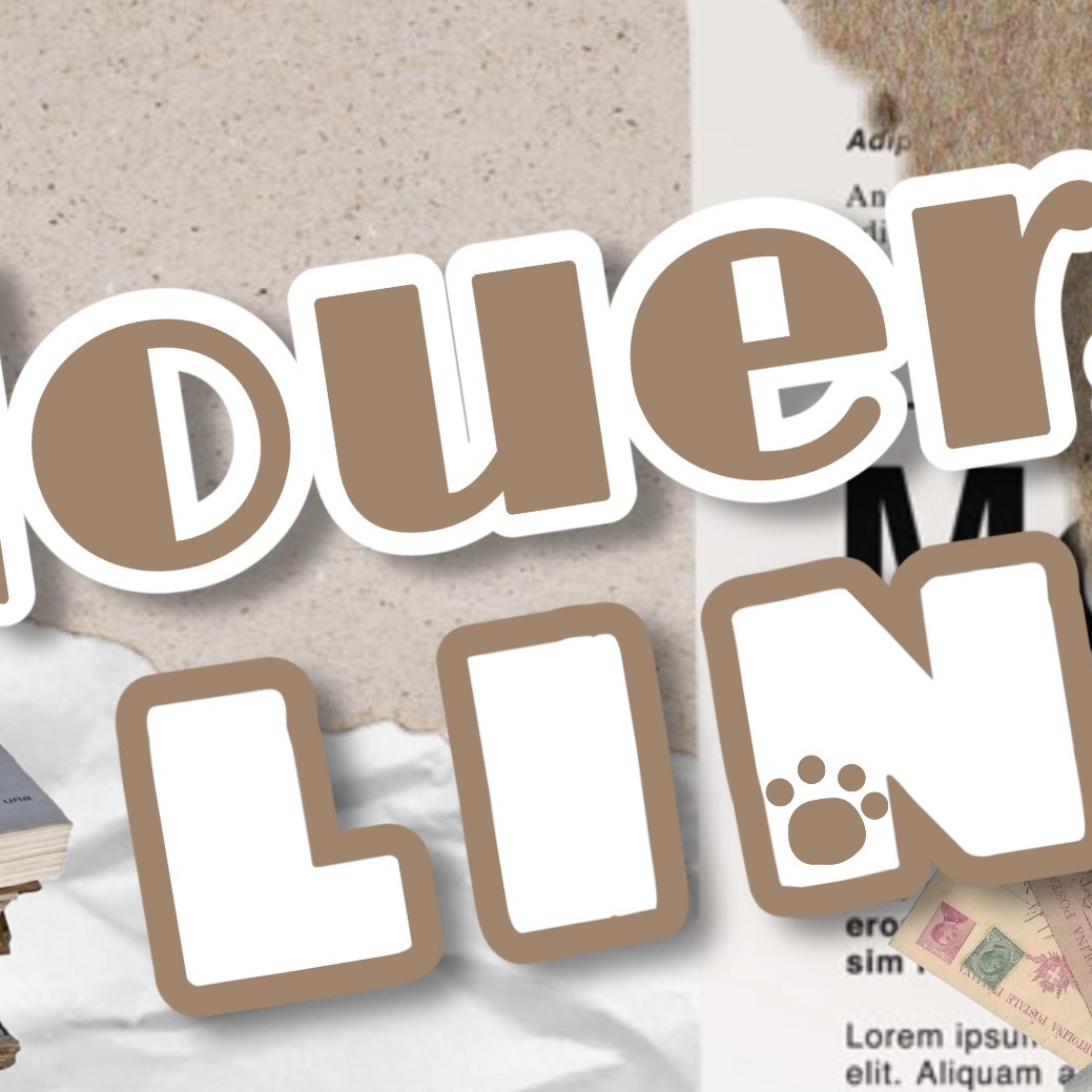 린 (NouerA)의 최신 사진