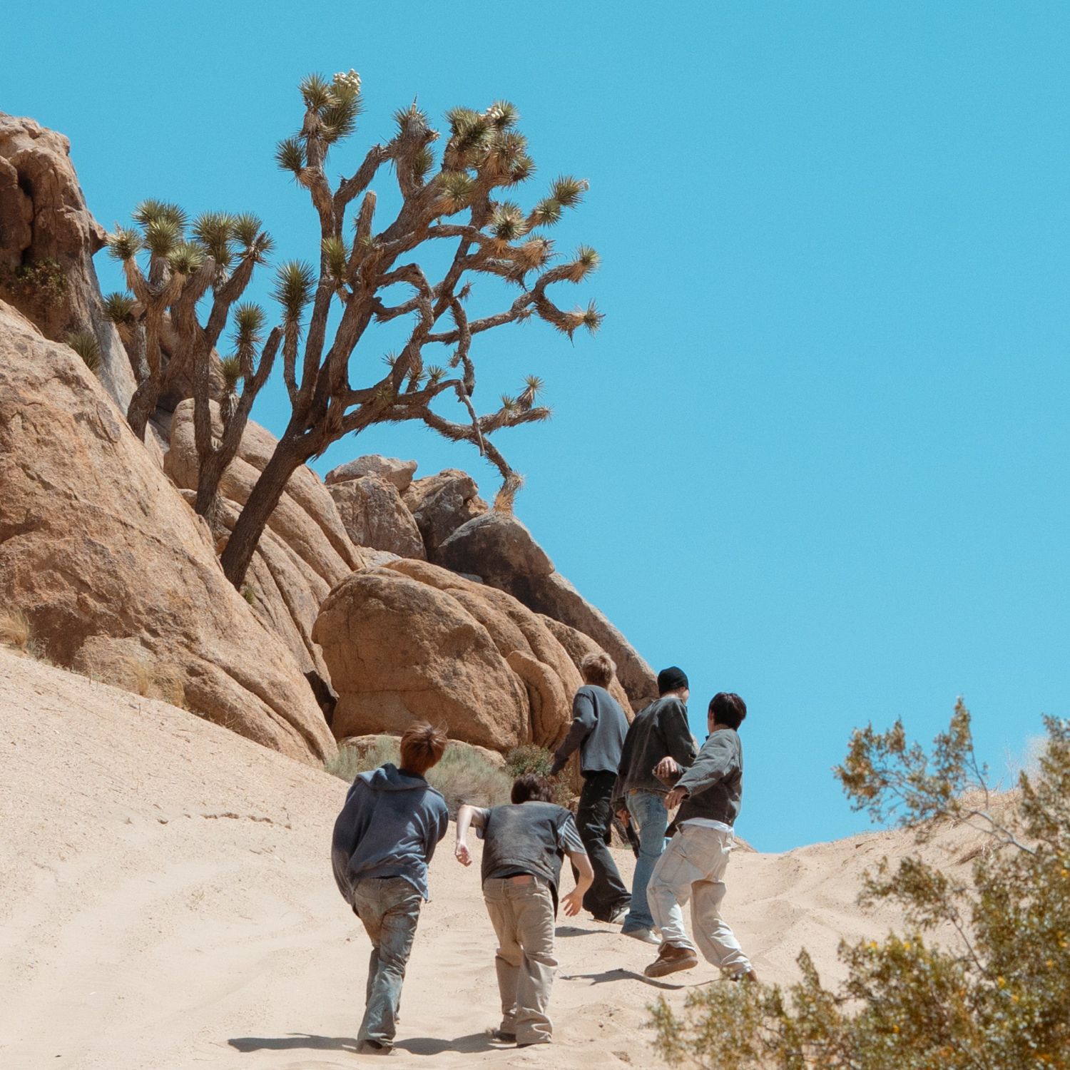 Recent activity shot of CORTIS