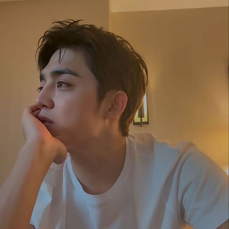 세븐틴 팬이 찍은 순간