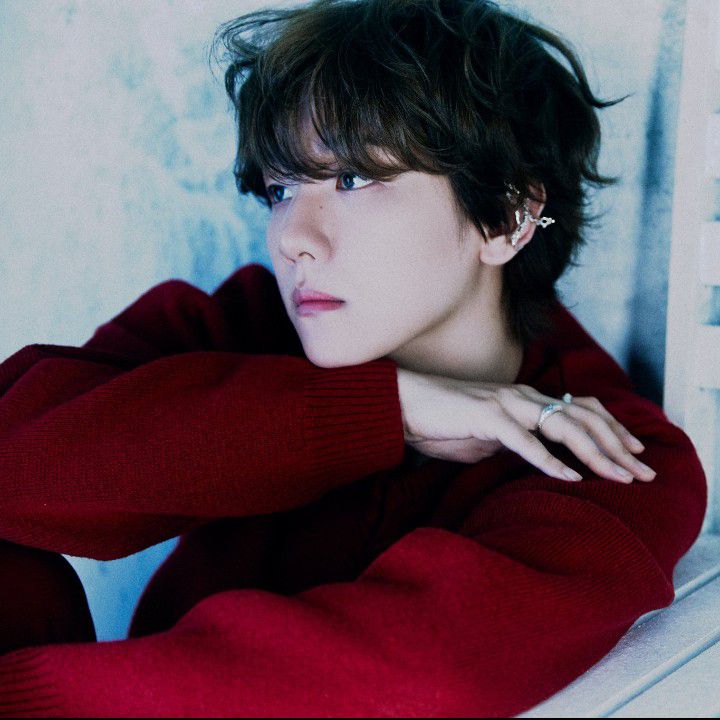 伯贤 (EXO)的最新活动照片