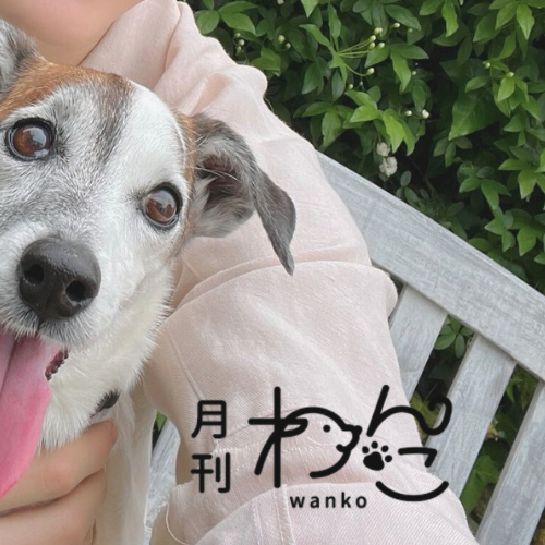 Recent activity shot of Maki (&TEAM)