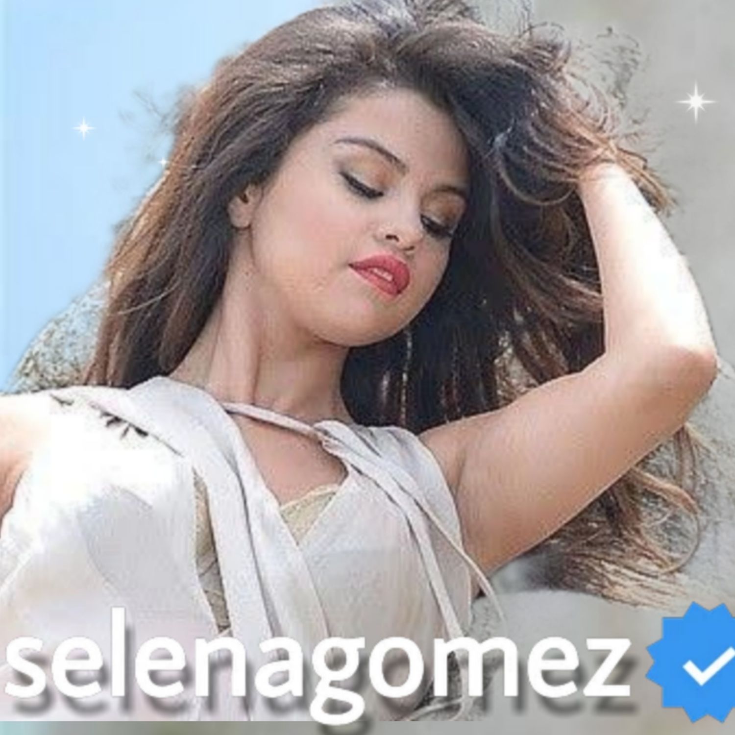 A moment captured by Selena Gomez's fan