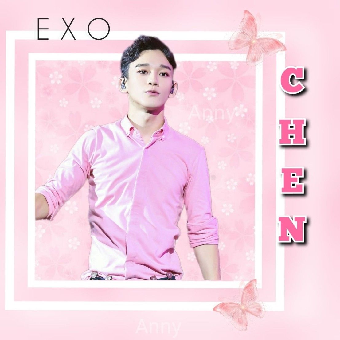 첸 (EXO) 팬이 찍은 순간