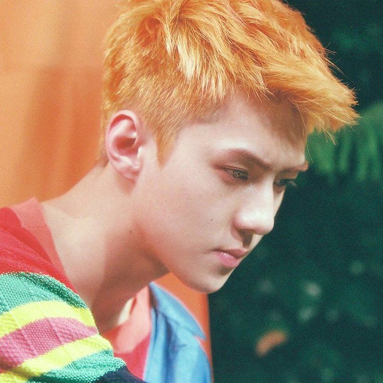 Latest photo of Sehun (EXO)