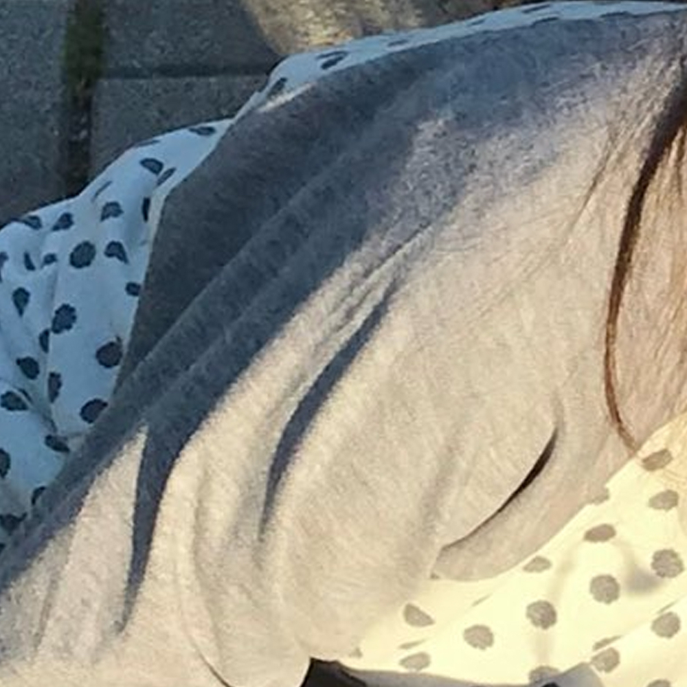 Recent activity shot of Go Won (Loossemble)