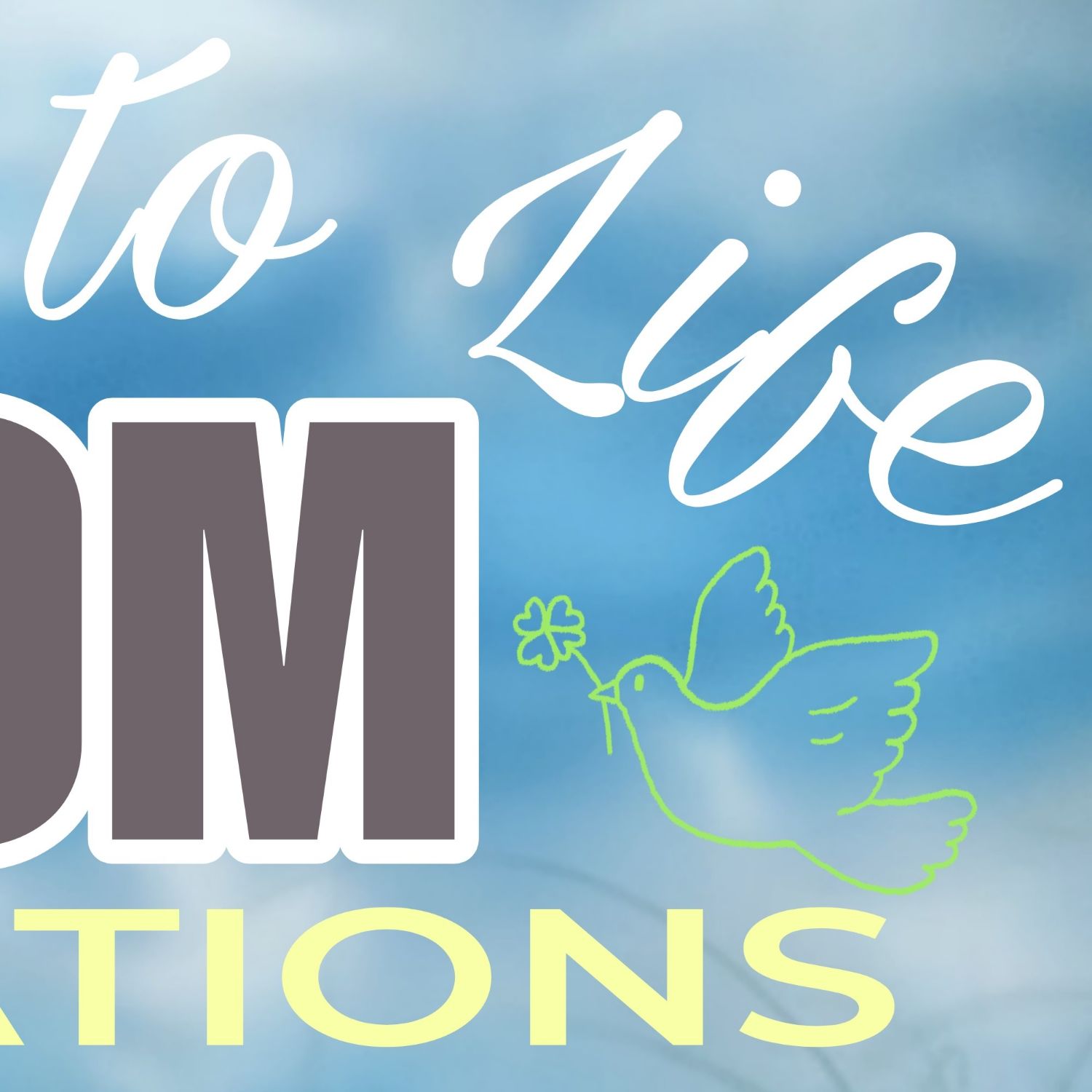 Behind-the-scenes cut of Harua (&TEAM)