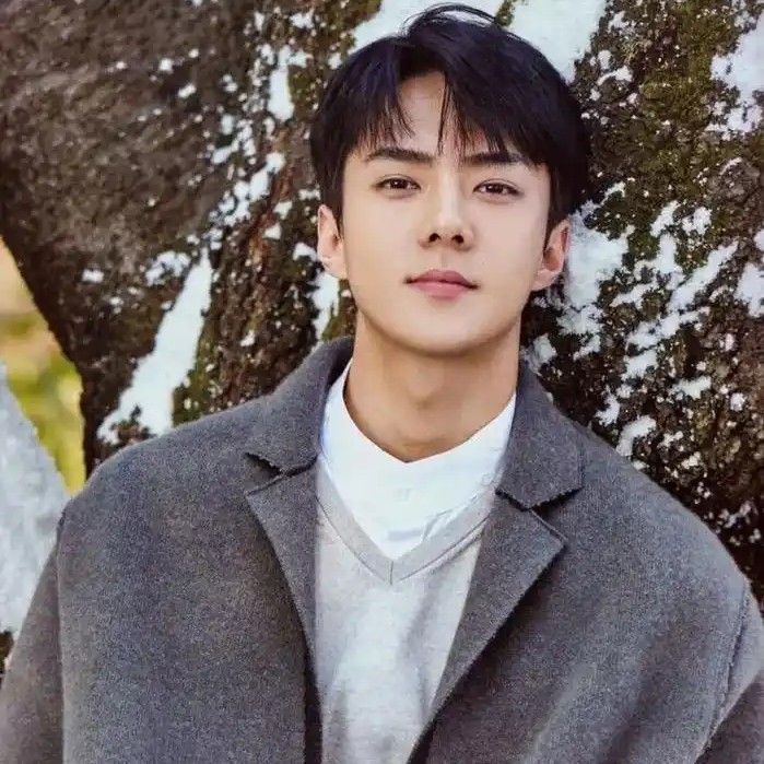 世勋 (EXO)的幕后花絮