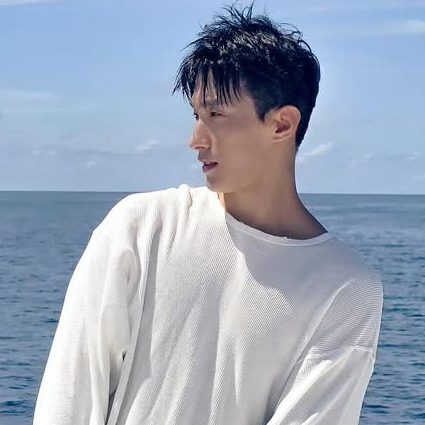 A moment captured by DK (SEVENTEEN)'s fan