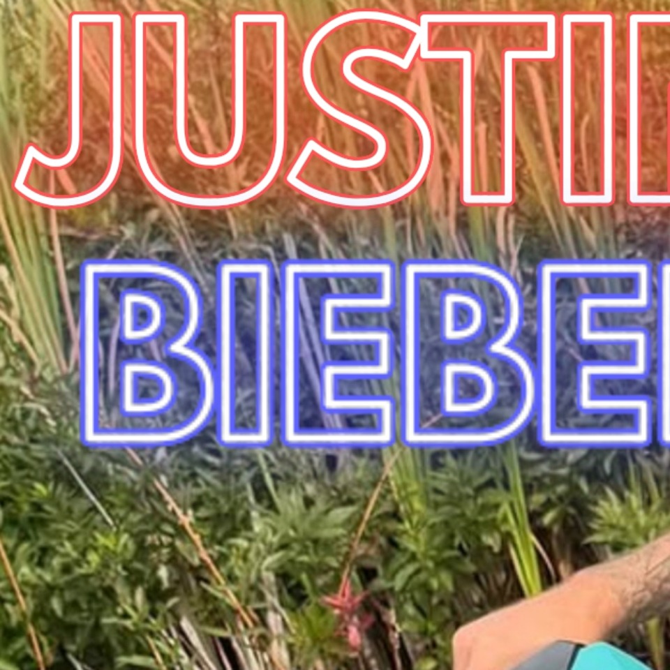 A moment captured by Justin Bieber's fan