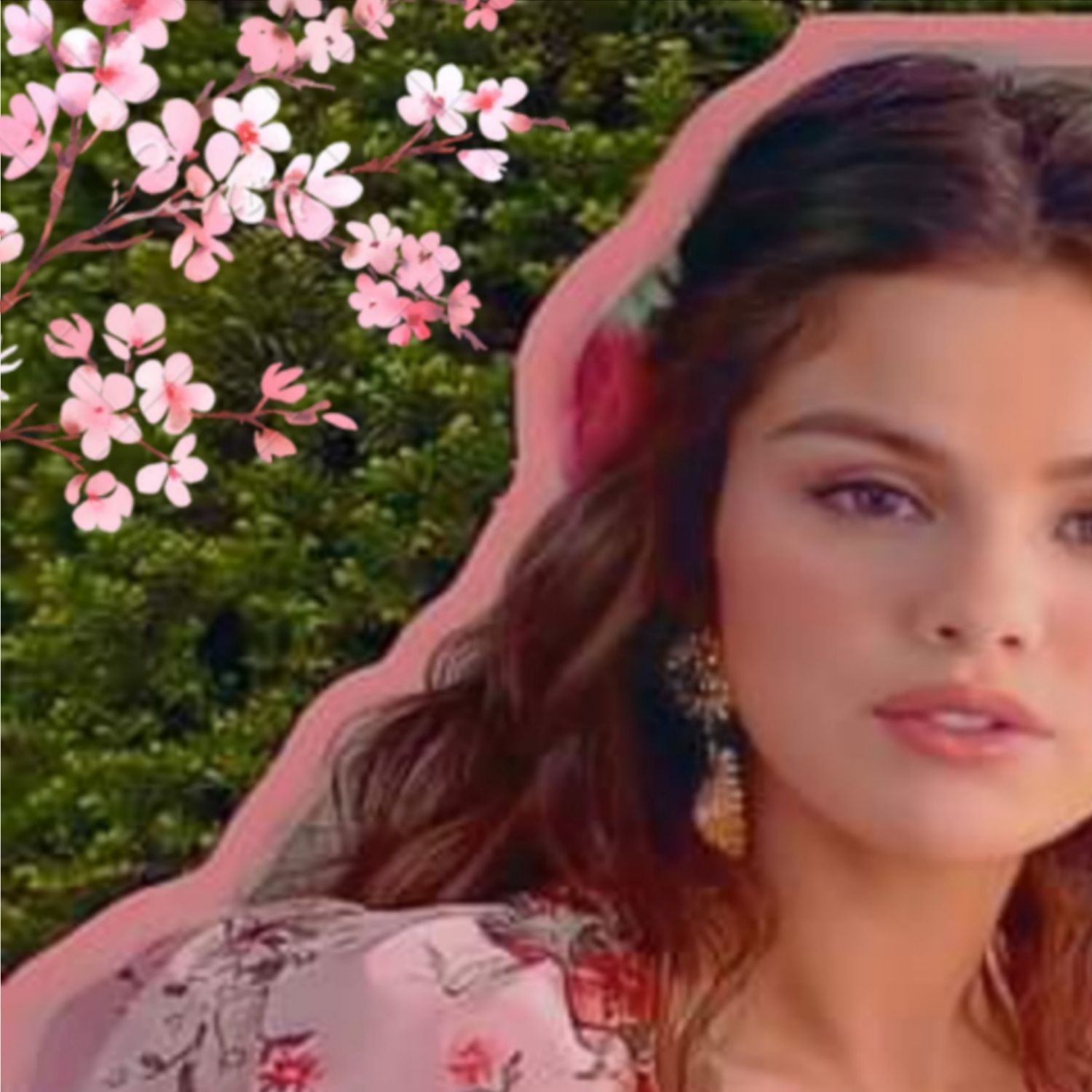 A moment captured by Selena Gomez's fan