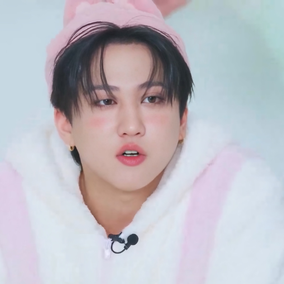 Stray Kids Japan Official on X: 