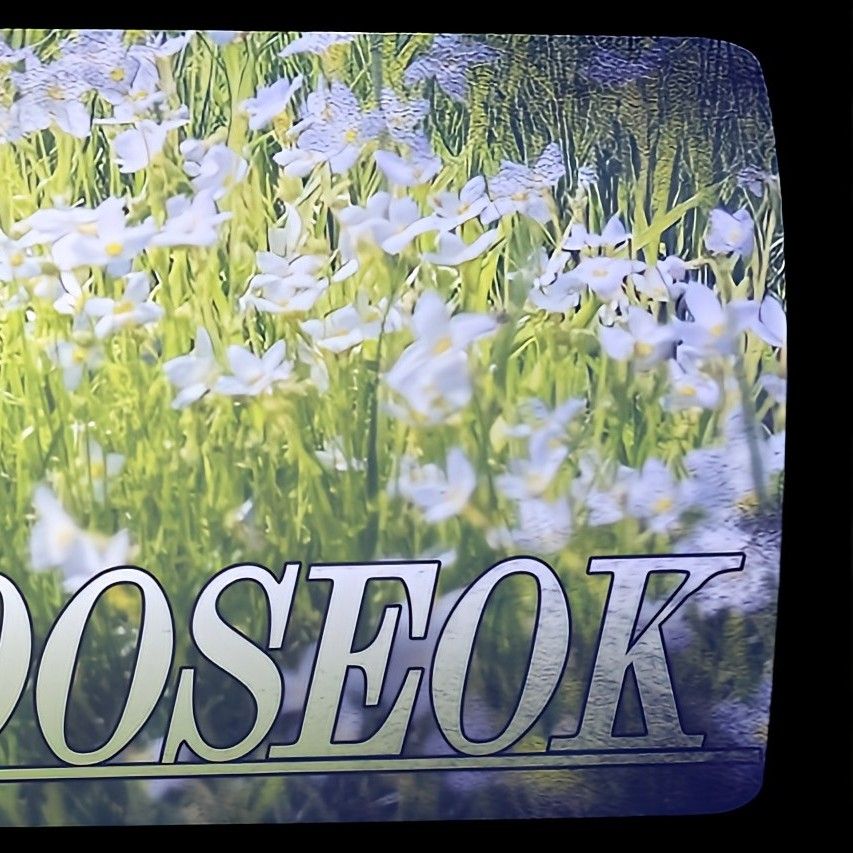 A moment captured by Wooseok (PENTAGON)'s fan