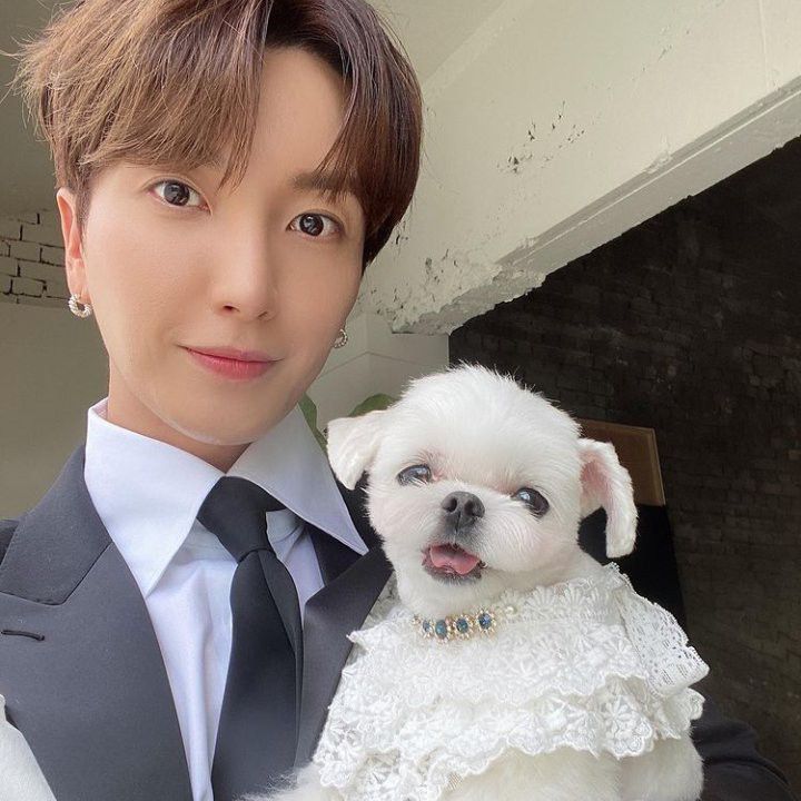 Super Juniorファンが撮った瞬間