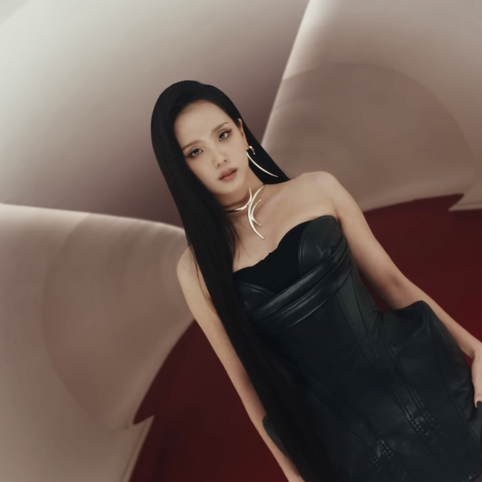 A moment captured by BLACKPINK's fan