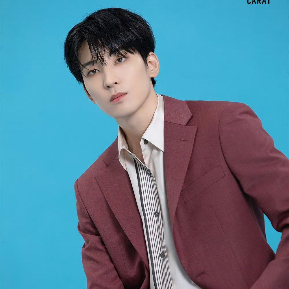 Latest photo of Wonwoo (SEVENTEEN)