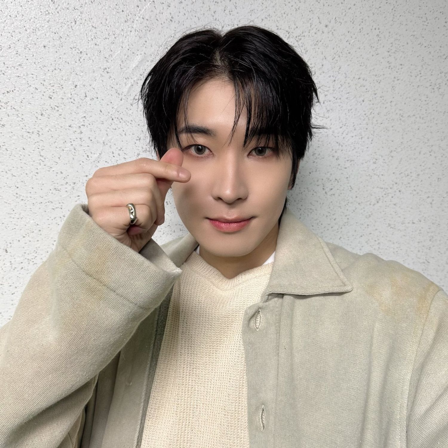 Recent activity shot of Wonwoo (SEVENTEEN)