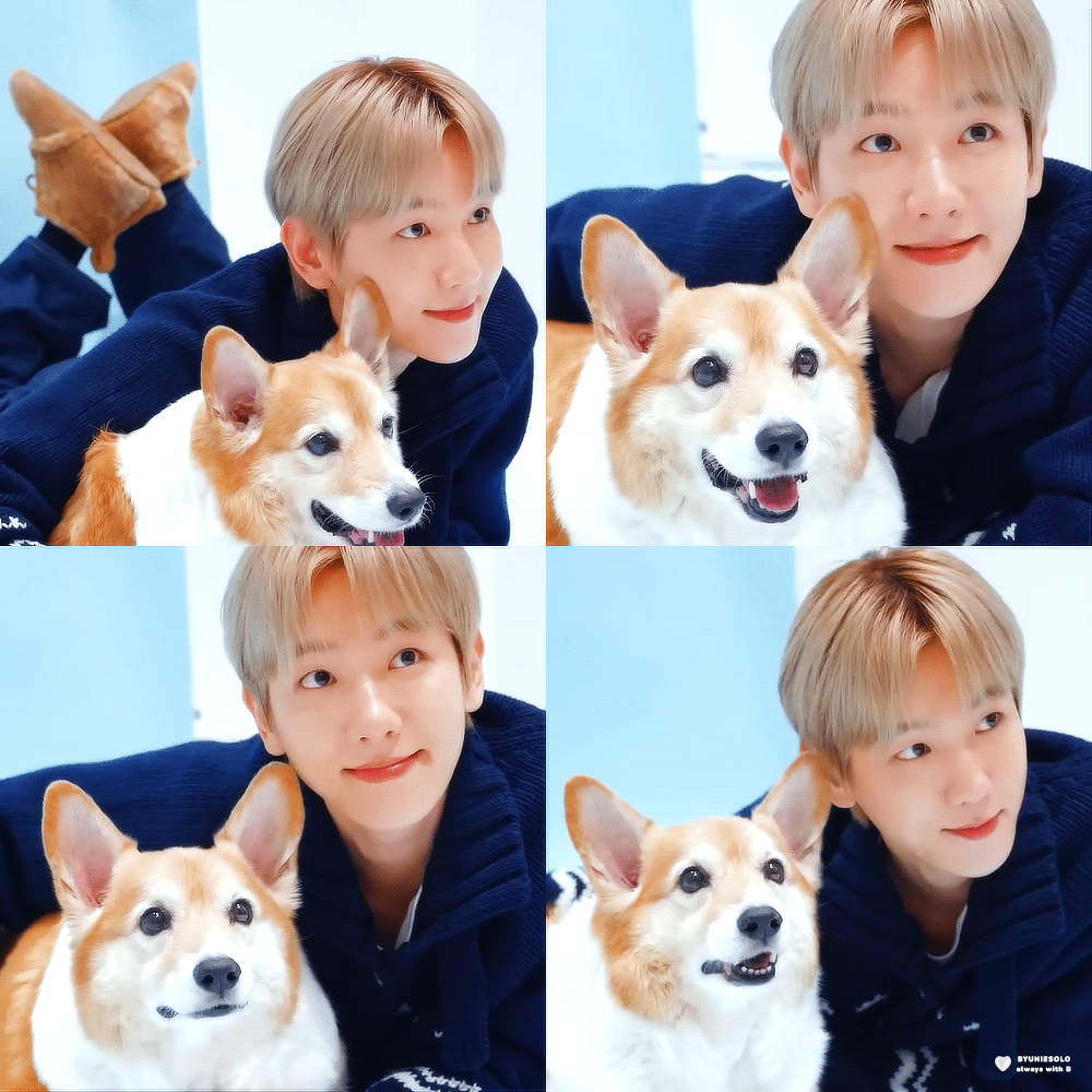 백현 (EXO) 팬이 찍은 순간