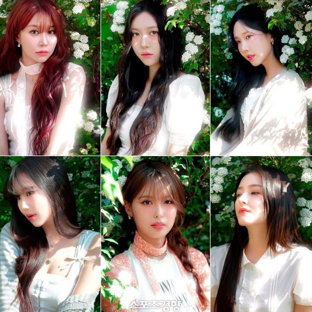Momen yang diabadikan oleh penggemar MOMOLAND