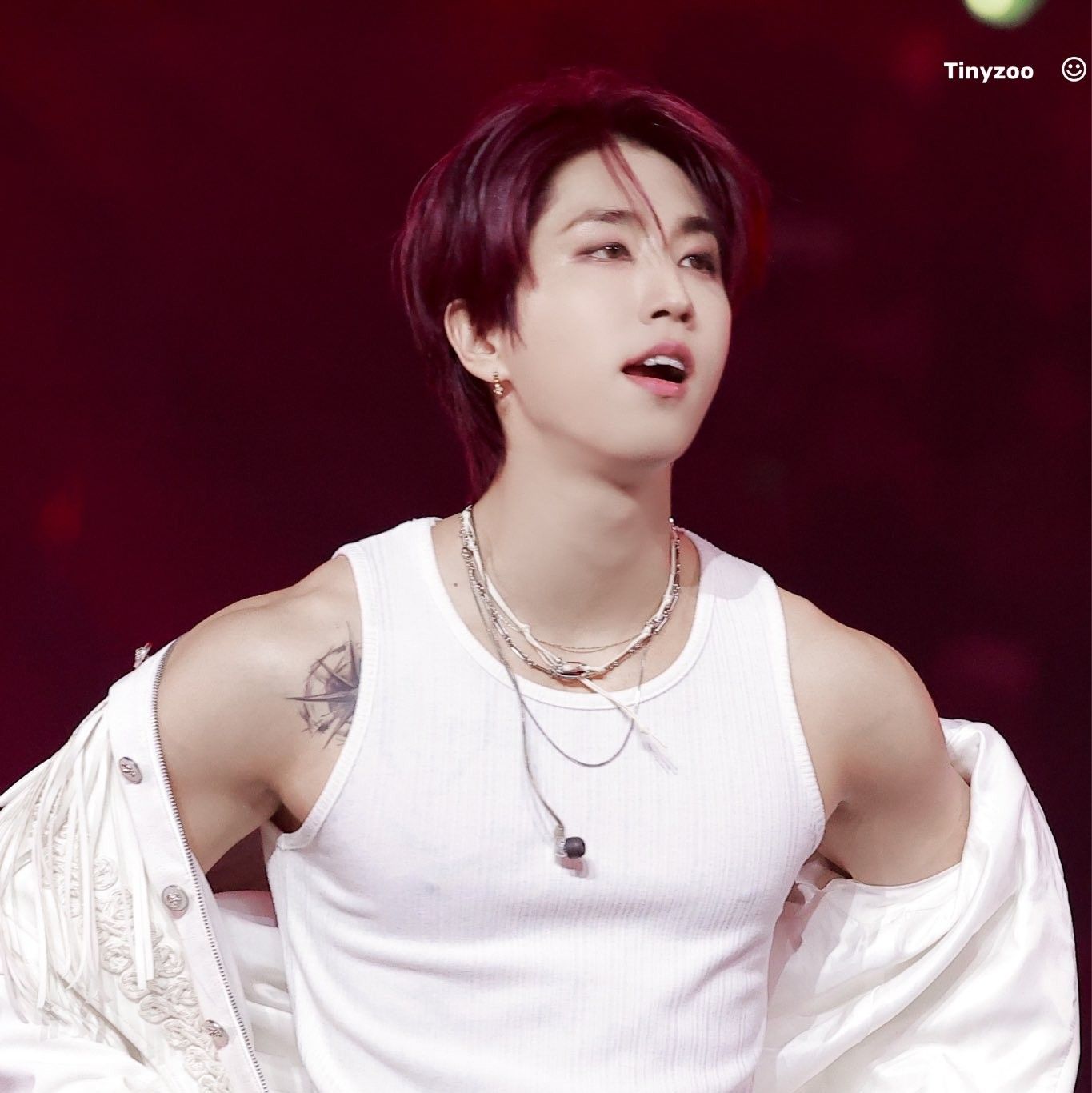 A moment captured by HAN (Stray Kids)'s fan