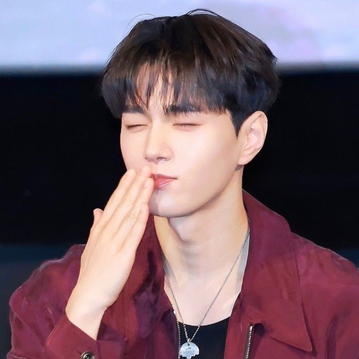 A moment captured by L (INFINITE)'s fan