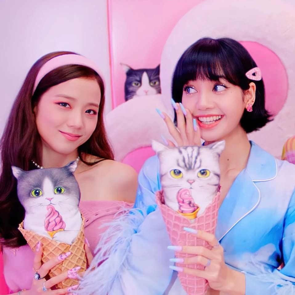 BLACKPINK粉絲拍下的瞬間