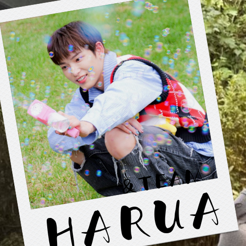 Recent activity shot of Harua (&TEAM)