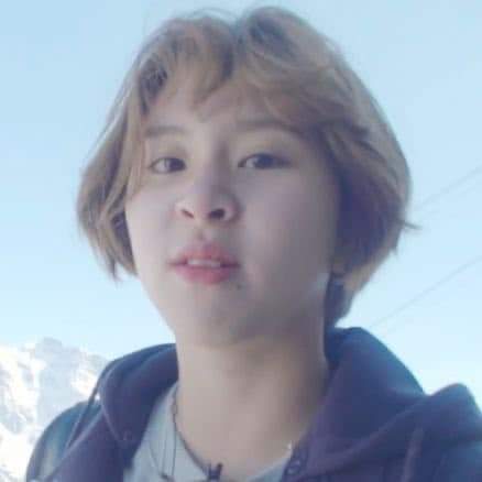 TWICE 최근 활동샷
