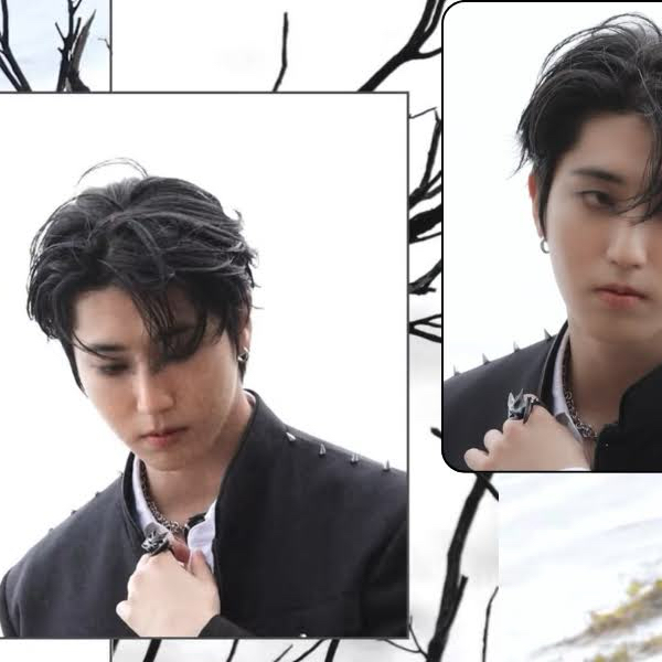 Potret di balik layar HAN (Stray Kids)