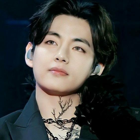 Behind-the-scenes cut of V (BTS)