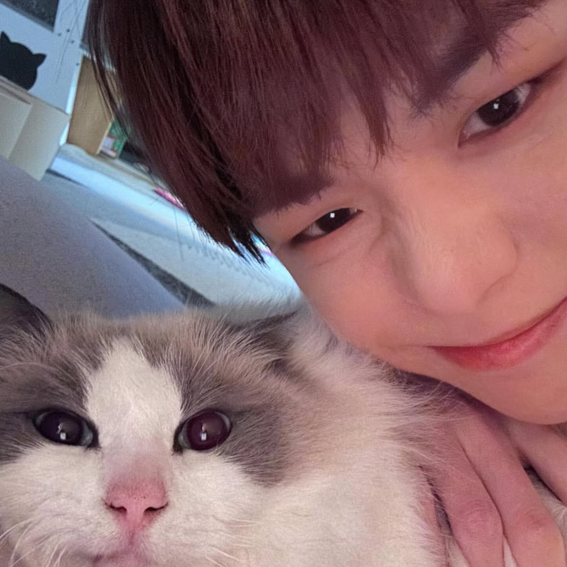강다니엘의 최신 사진