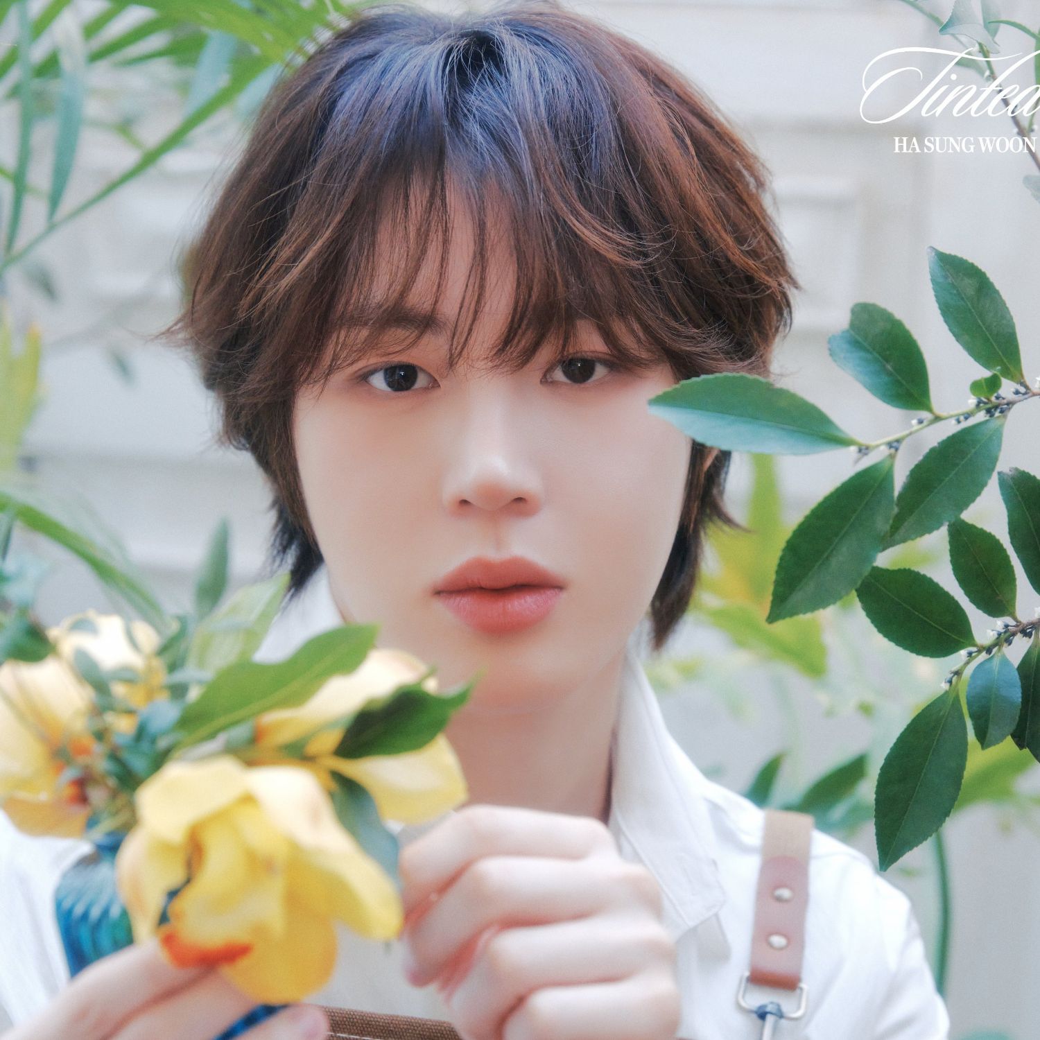 Behind-the-scenes cut of Ha Sungwoon