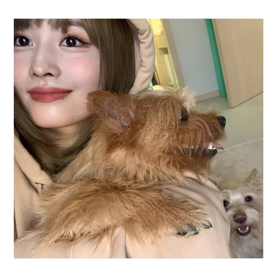 Momo (TWICE)粉丝拍下的瞬间
