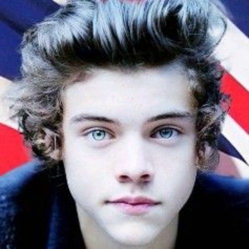 팬들이 사랑하는 해리 스타일스의 인기 프로필 사진