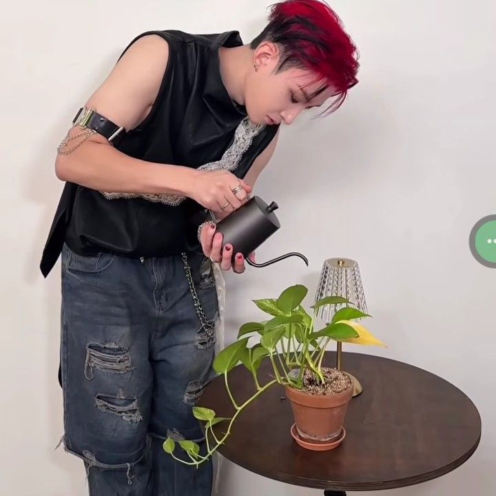 Latest photo of Wain (XODIAC)