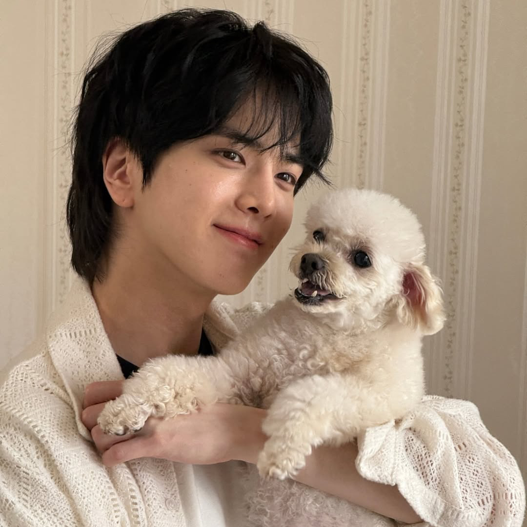 A moment captured by Younghoon (THE BOYZ)'s fan