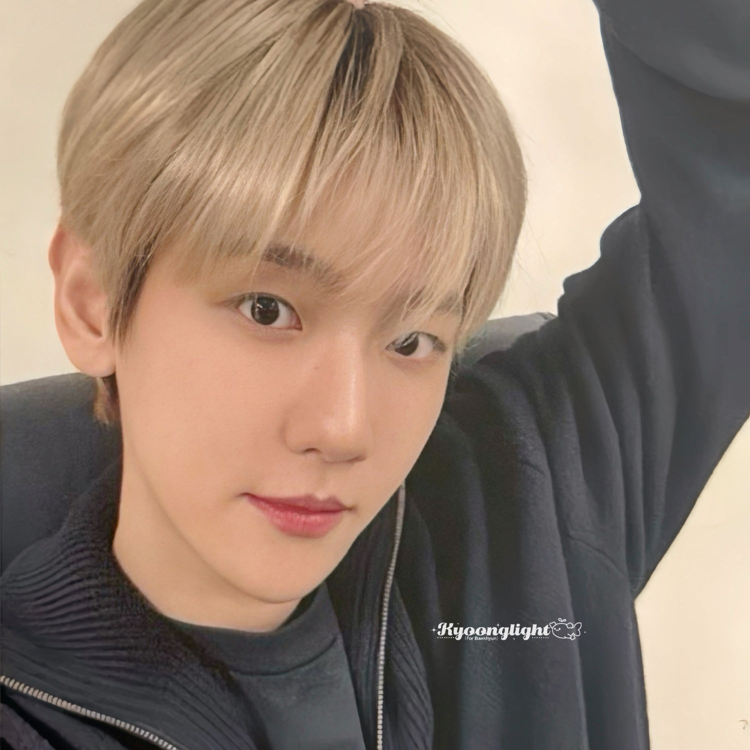 백현 (EXO) 팬이 찍은 순간