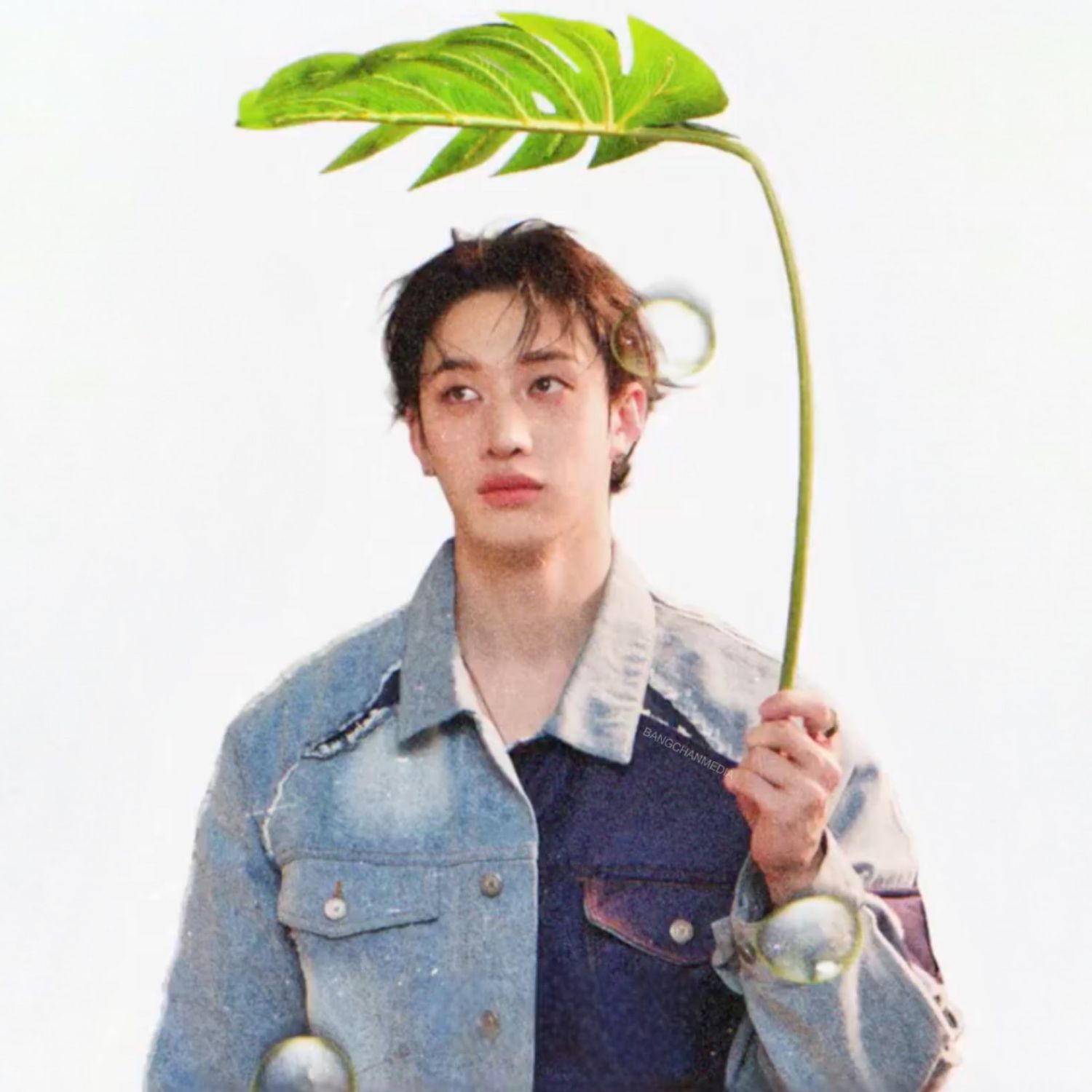 バンチャン (Stray Kids)の最新写真