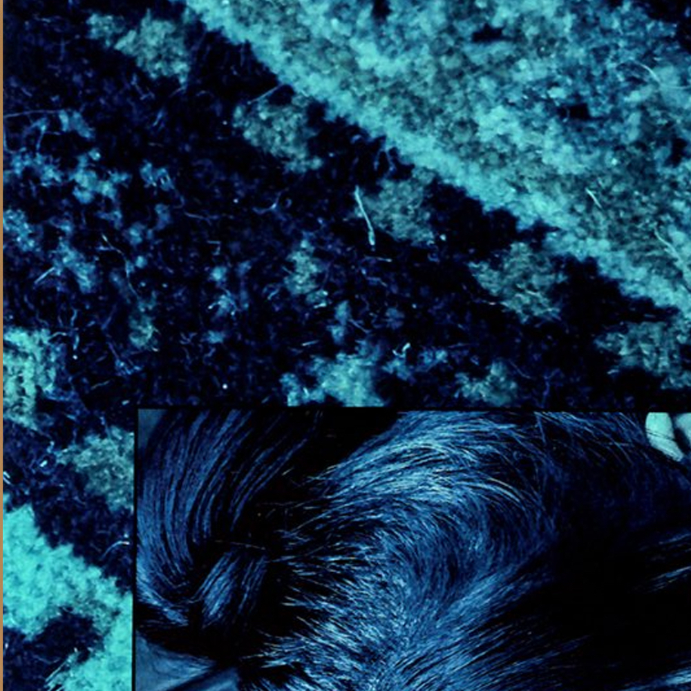 A moment captured by HaSeul (ARTMS)'s fan