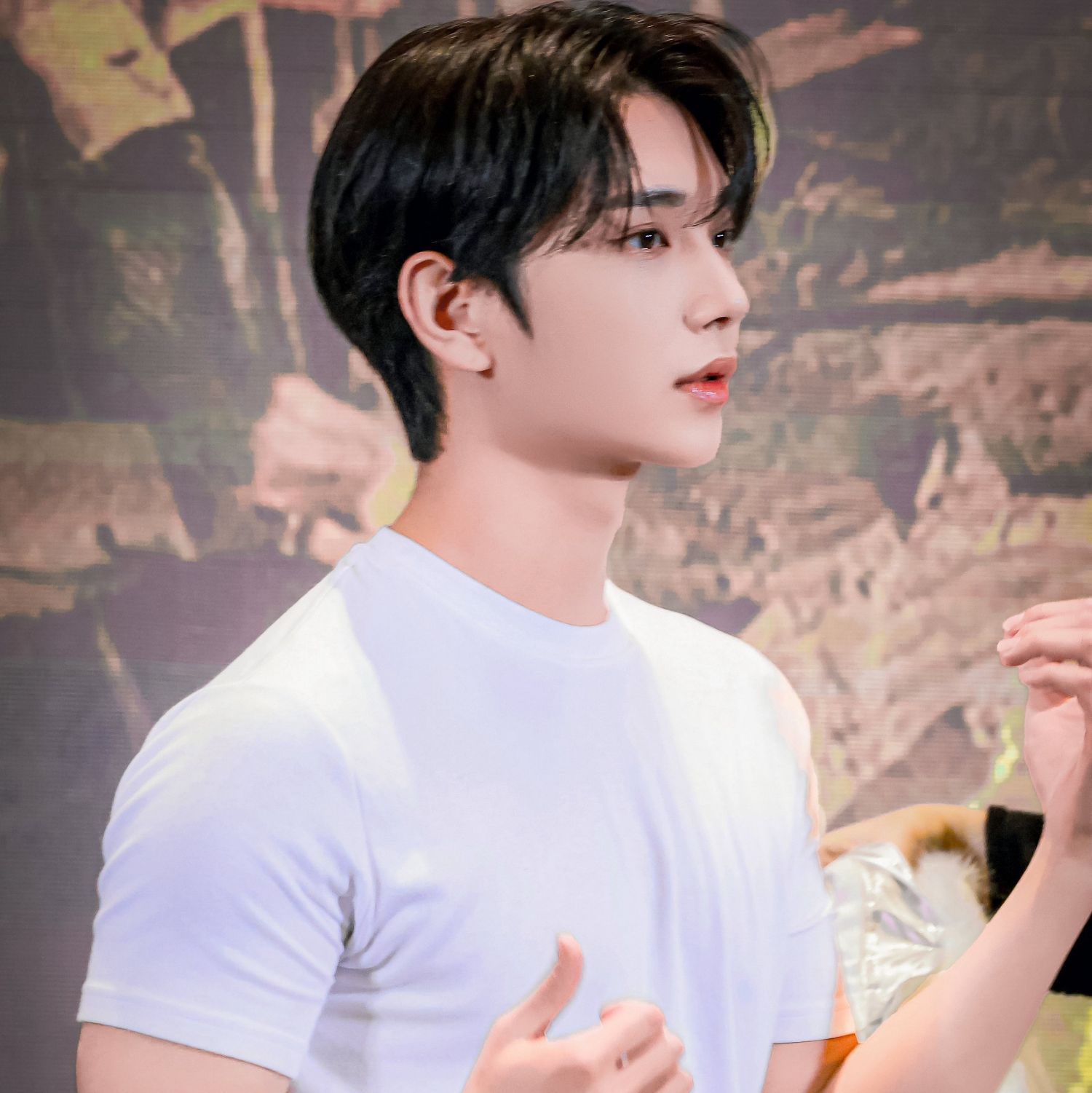 A moment captured by Joshua (SEVENTEEN)'s fan