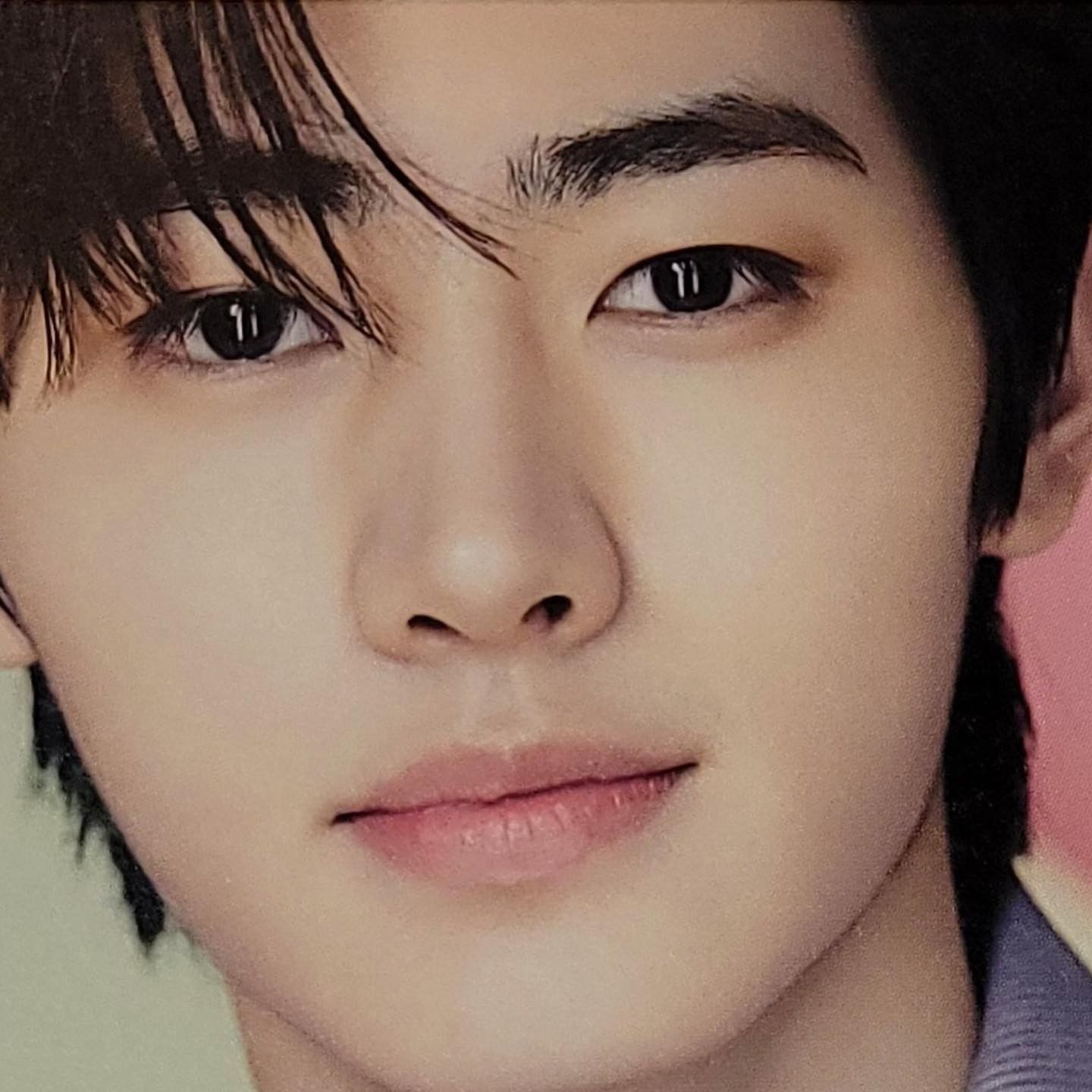 A moment captured by Sunghoon (ENHYPEN)'s fan