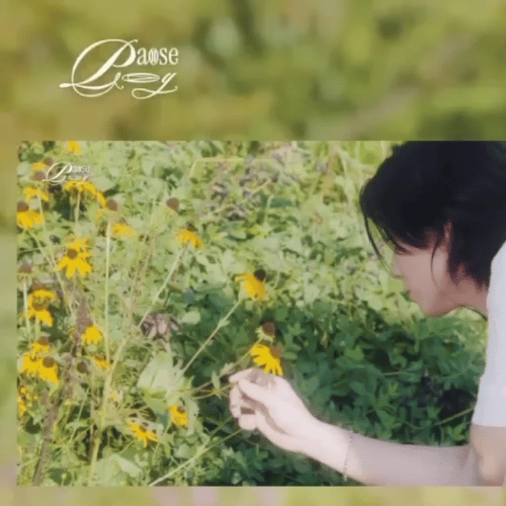 Latest photo of Hwiyoung (SF9)